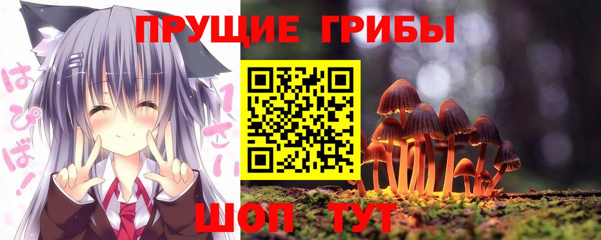 Псилоцибиновые грибы Psilocybine cubensis  Вход с VPN  Астрахань  Галлюциногенные грибы мухоморы 