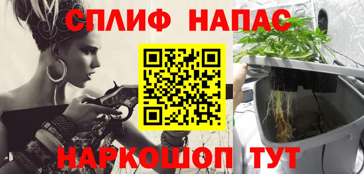 Марихуана сатива Астрахань